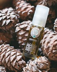 Влияние эликсира кедра на организм человека