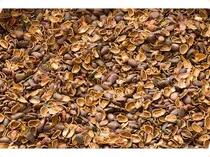 Скорлупа ореха кедрового, 500г