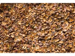 Скорлупа ореха кедрового, 500г