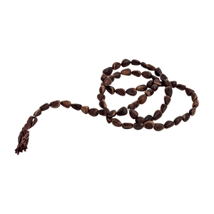 Чётки кедровые