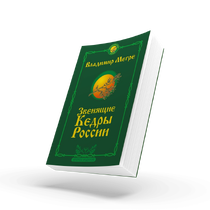 КНИГА №2, "ЗВЕНЯЩИЕ КЕДРЫ РОССИИ", АВТОР ВЛАДИМИР МЕГРЕ, НОВОЕ ИЗДАНИЕ